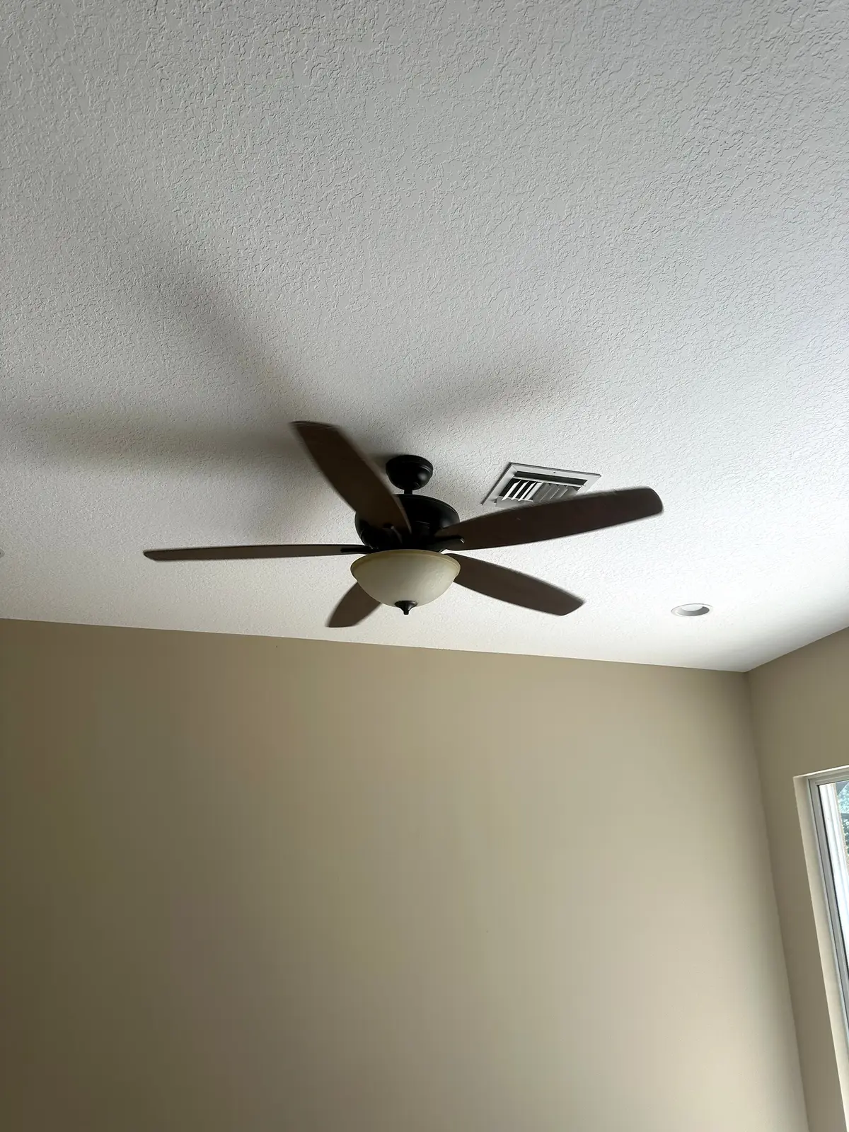 Dark wood-tone ceiling fan centered in a finished room