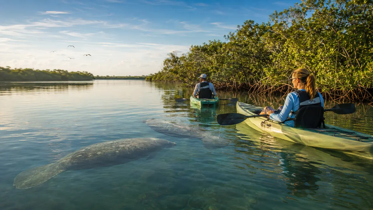 Wildlife near the Indian River Lagoon